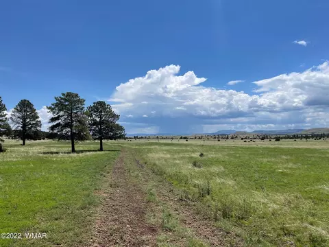 1 County Road, Greer, AZ 85927