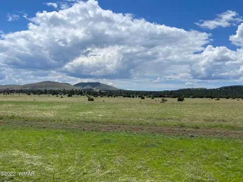 1 County Road, Greer, AZ 85927 photo 3