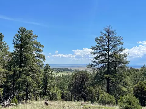 1 County Road, Greer, AZ 85927 photo 5