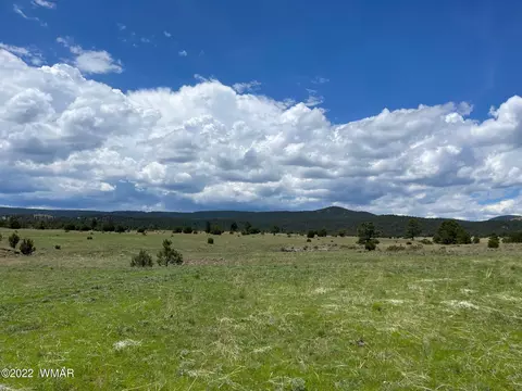 Tract 3 County Road N1334, Greer, AZ 85927