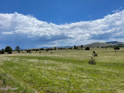 4 County Road, Greer, AZ 85927 photo 4