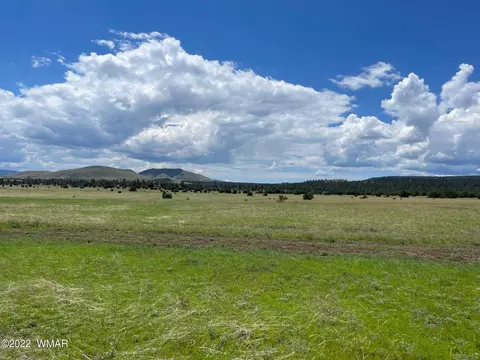 4 County Road, Greer, AZ 85927 photo 2