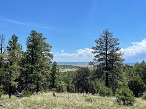 4 County Road, Greer, AZ 85927 photo 5