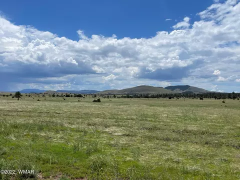 4 County Road, Greer, AZ 85927