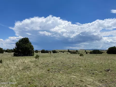 5 County Road, Greer, AZ 85927
