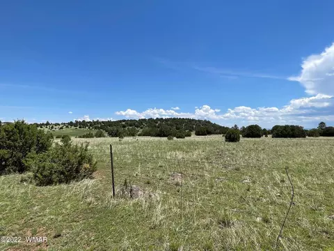 5 County Road, Greer, AZ 85927 photo 2