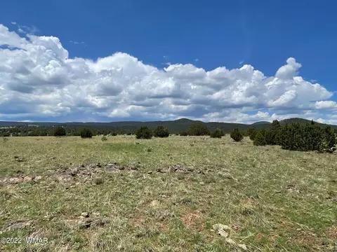 5 County Road, Greer, AZ 85927 photo 3