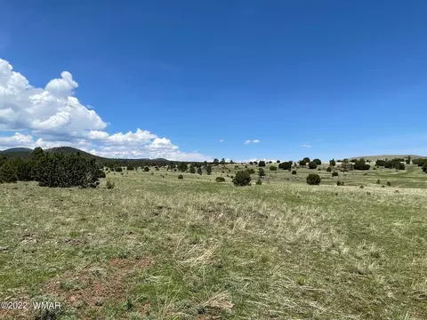 5 County Road, Greer, AZ 85927 photo 4