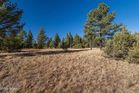 039 Dynamite # G, Lakeside, AZ 85929 photo 8