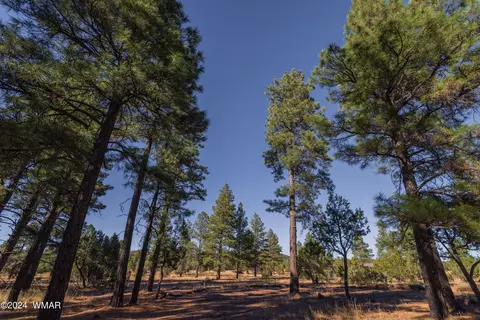 039 Dynamite # G, Lakeside, AZ 85929 photo 4