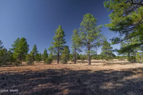 039 Dynamite # G, Lakeside, AZ 85929