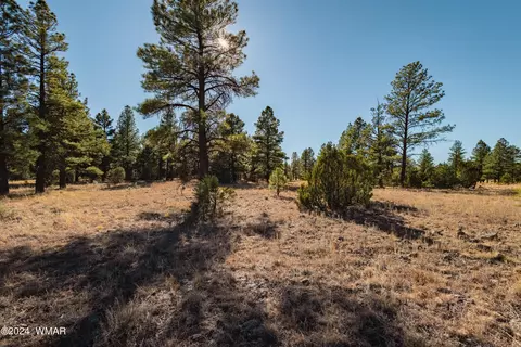 039 Dynamite # G, Lakeside, AZ 85929 photo 7