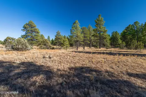 039 Dynamite # G, Lakeside, AZ 85929 photo 9