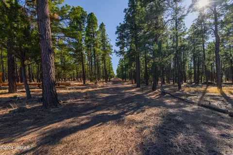 039 Dynamite # G, Lakeside, AZ 85929 photo 2