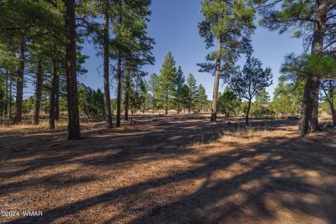 039 Dynamite # H, Lakeside, AZ 85929 photo 3