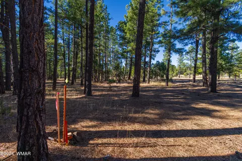 039 Dynamite # H, Lakeside, AZ 85929 photo 5