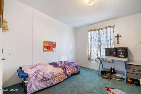 4535 Springer Cir, Snowflake, AZ 85937 photo 17