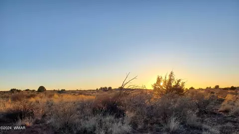 8390 Miller Trl, Snowflake, AZ 85937