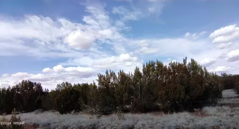 1939 Bourdon Ranch Rd, Show Low, AZ 85901