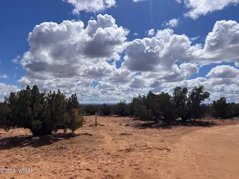 tbd Ranch View Rd - Parcel C, Snowflake, AZ 85937 photo 41