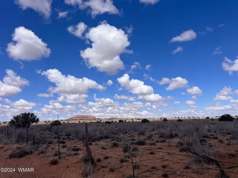 tbd Ranch View Rd - Parcel C, Snowflake, AZ 85937 photo 44