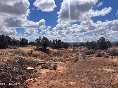 tbd Ranch View Rd - Parcel C, Snowflake, AZ 85937 photo 32