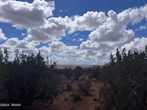 tbd Ranch View Rd - Parcel C, Snowflake, AZ 85937 photo 36