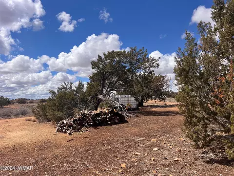 tbd Ranch View Rd - Parcel C, Snowflake, AZ 85937 photo 29