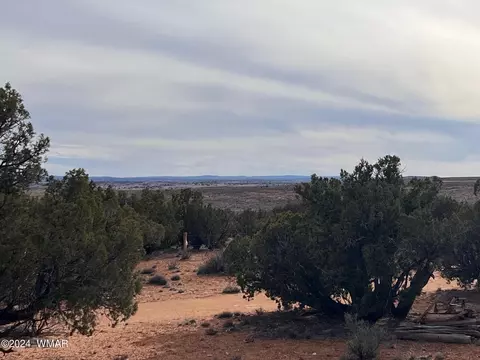 tbd Ranch View Rd - Parcel C, Snowflake, AZ 85937 photo 22