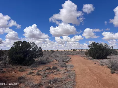 tbd Ranch View Rd - Parcel C, Snowflake, AZ 85937 photo 34