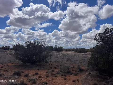 tbd Ranch View Rd - Parcel C, Snowflake, AZ 85937 photo 33