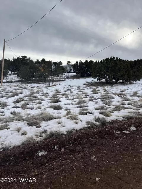 4 Cedar, Vernon, AZ 85940