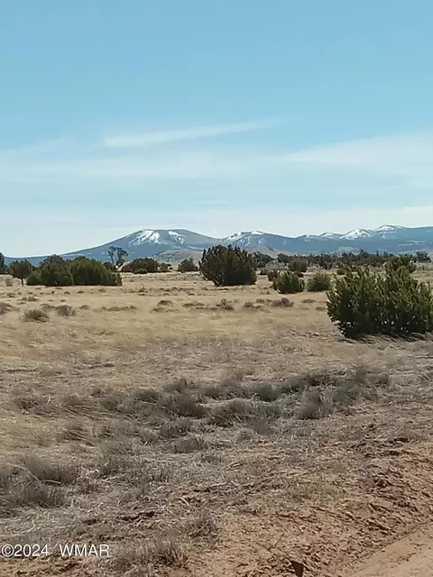 Tbd N8036 Parcel 107-65-006, Concho, AZ 85924