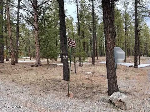 41 N 1068 St, Greer, AZ 85927