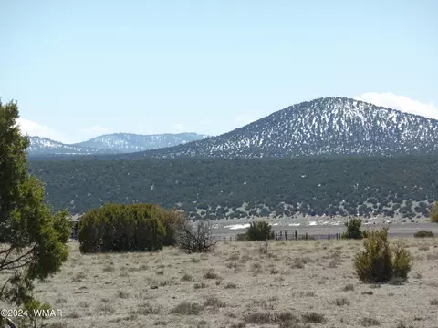 30 Acres Sec 13 T11n R23e Se4 Se4, Show Low, AZ 85901