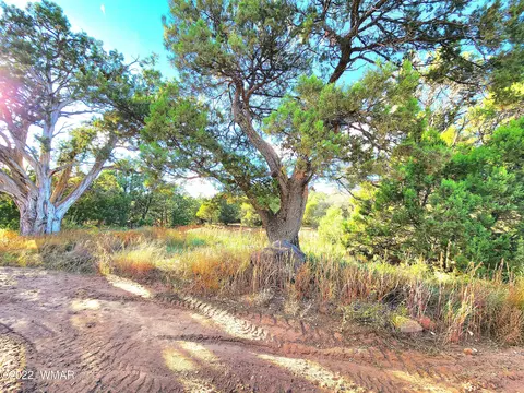2 74 Acres Tbd Casper Ln, Show Low, AZ 85901