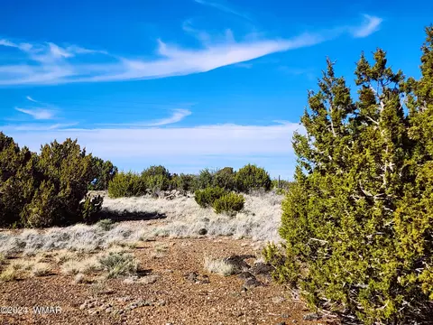 31 County Road 5079, Concho, AZ 85924