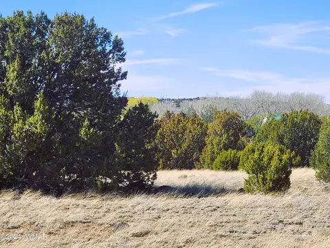 7 County Road 5084, Concho, AZ 85924