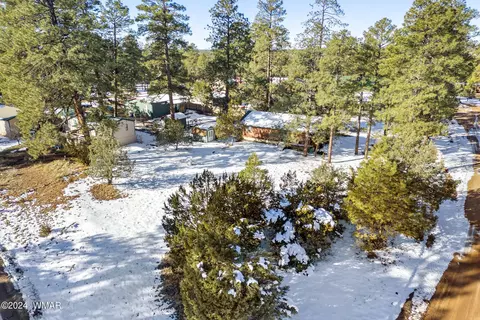 1983 Christmas Pine Cir, Overgaard, AZ 85933