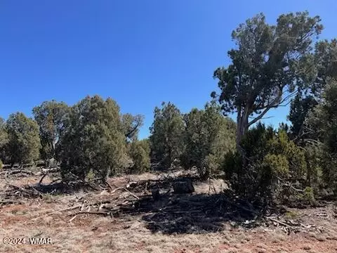 lot35 A Backward C Rd, Clay Springs, AZ 85923