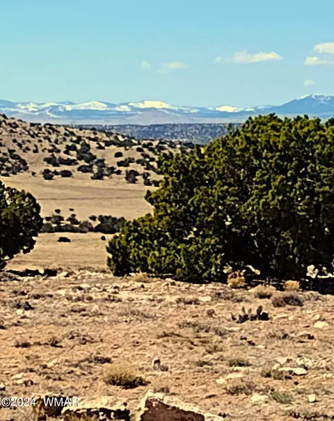 2 Lots River Springs Rnch, Saint Johns, AZ 85936