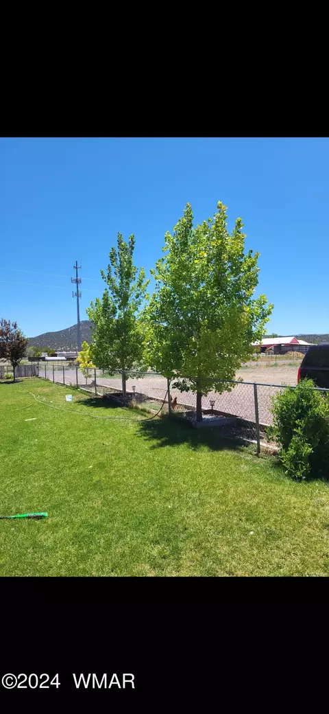 1864 Crystal Ln, Springerville, AZ 85938 photo 11