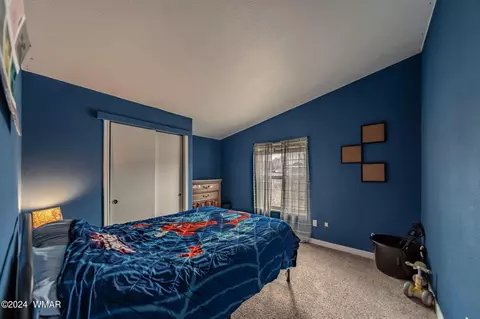 1864 Crystal Ln, Springerville, AZ 85938 photo 33