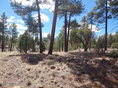 tbd Gilbert Ln, Overgaard, AZ 85933 photo 6