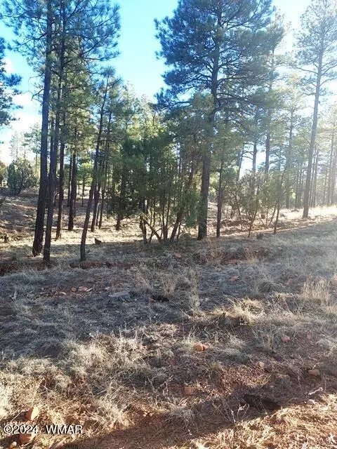 tbd Gilbert Ln, Overgaard, AZ 85933 photo 4