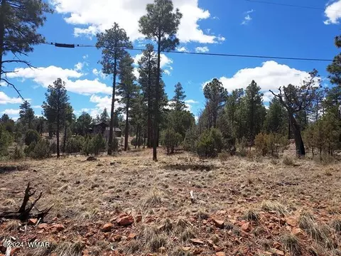 tbd Gilbert Ln, Overgaard, AZ 85933 photo 10