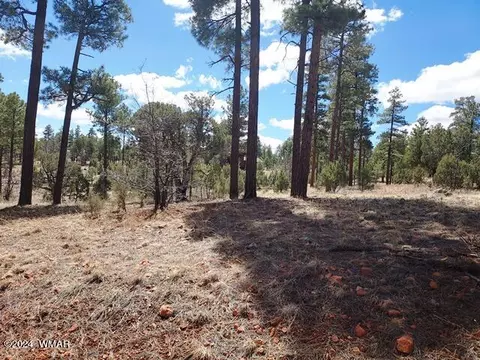tbd Gilbert Ln, Overgaard, AZ 85933 photo 11