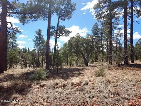 tbd Gilbert Ln, Overgaard, AZ 85933 photo 12