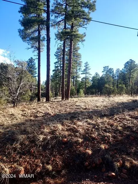 tbd Gilbert Ln, Overgaard, AZ 85933 photo 2