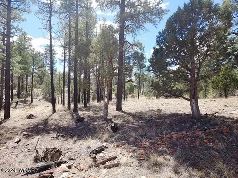 tbd Gilbert Ln, Overgaard, AZ 85933 photo 5